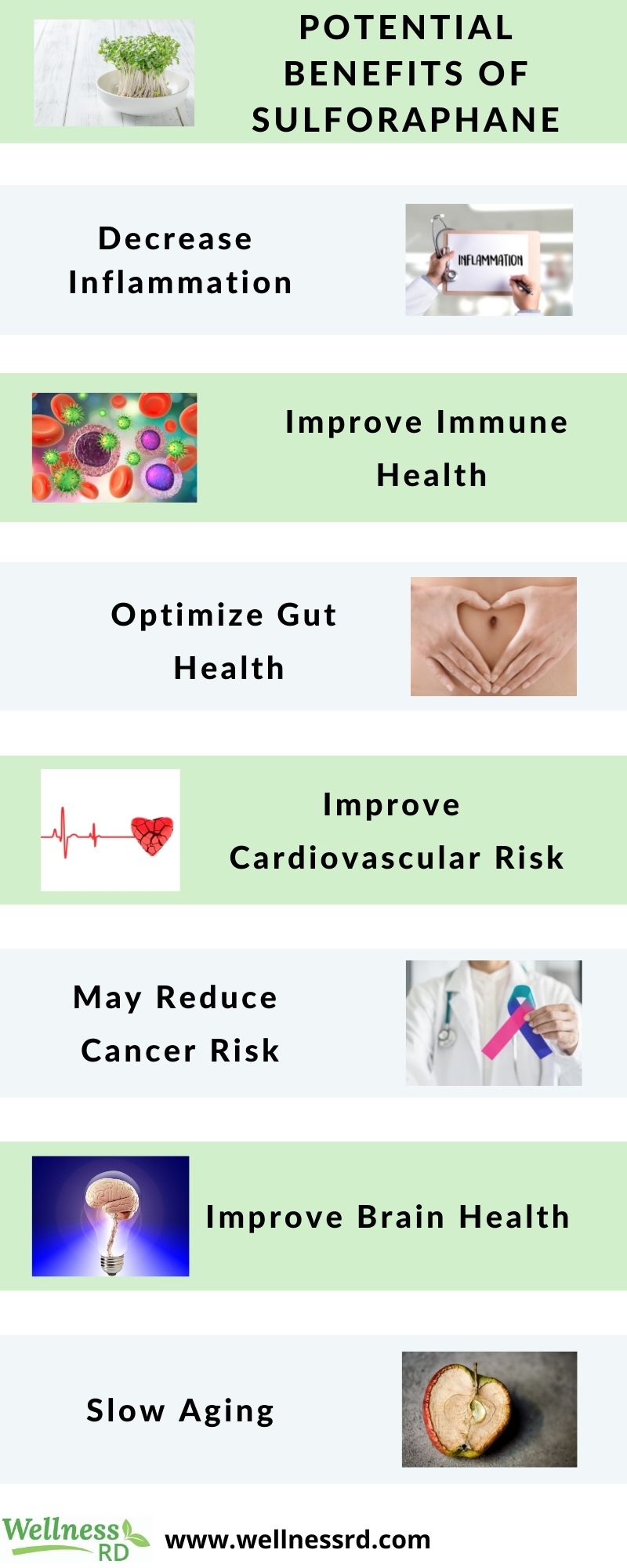 Potential Benefits of Sulforaphane