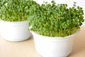 Sulforaphane- Broccoli Sprouts