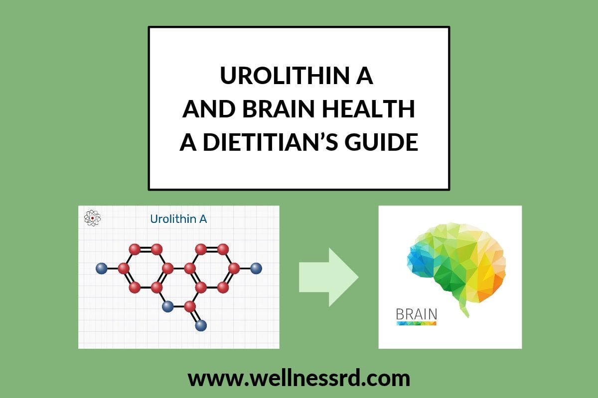 UROLITHIN A AND BRAIN HEALTH A DIETITIAN'S GUIDE